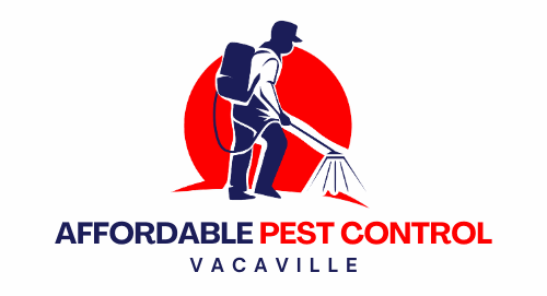 Affordable Vacaville Pest Control